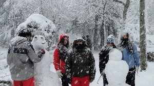 Semana na neve en Xaneiro