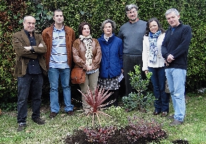 Contra a violencia de xénero